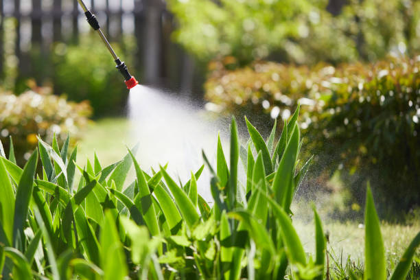 24/7 Emergency Mosquito Control experts in Rose Valley, PA